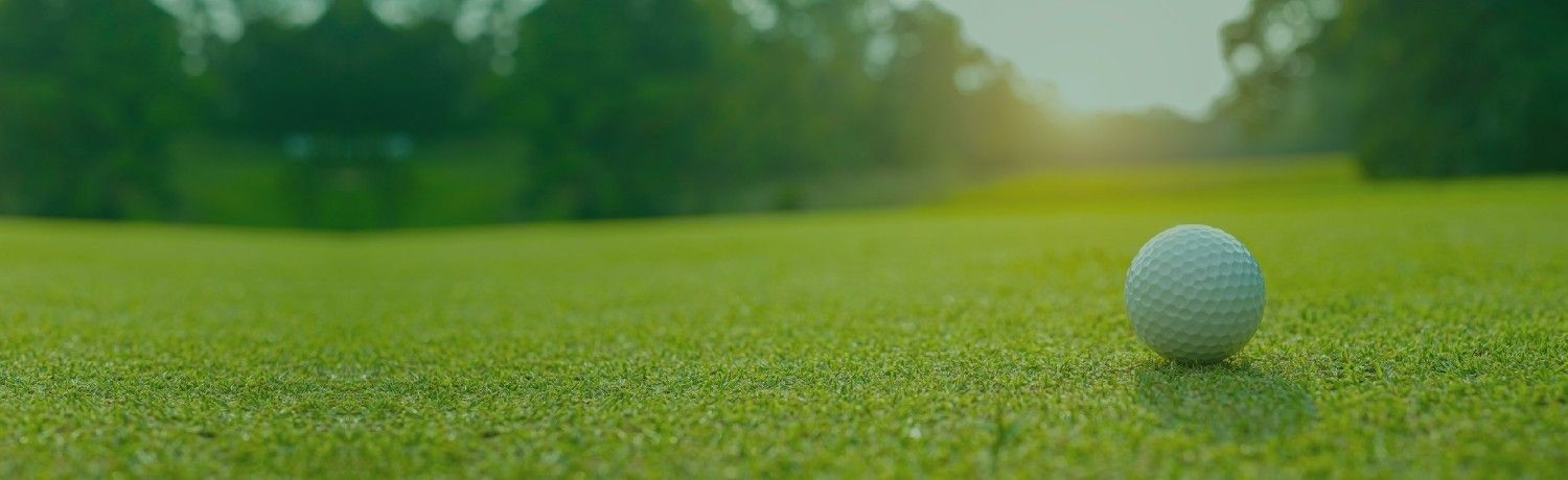Star Turf Farms: Your High-Quality Turf Provider